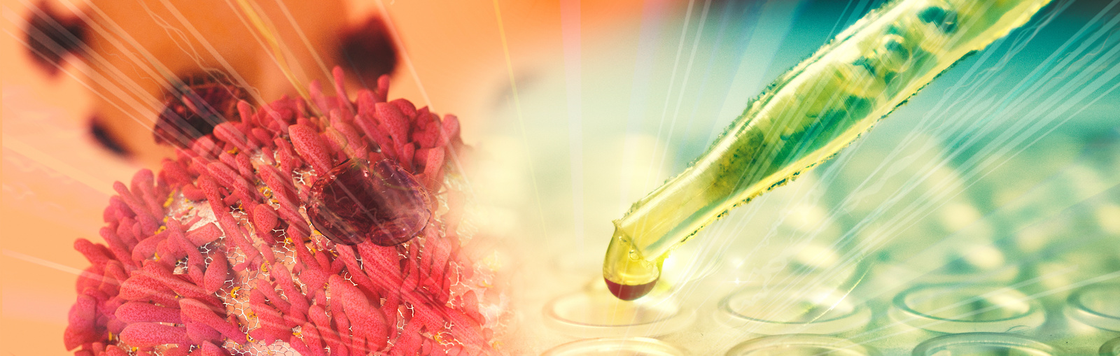 Bando per l’assegnazione di quattro premi alla ricerca nell’ambito delle ricerche oncologiche di base