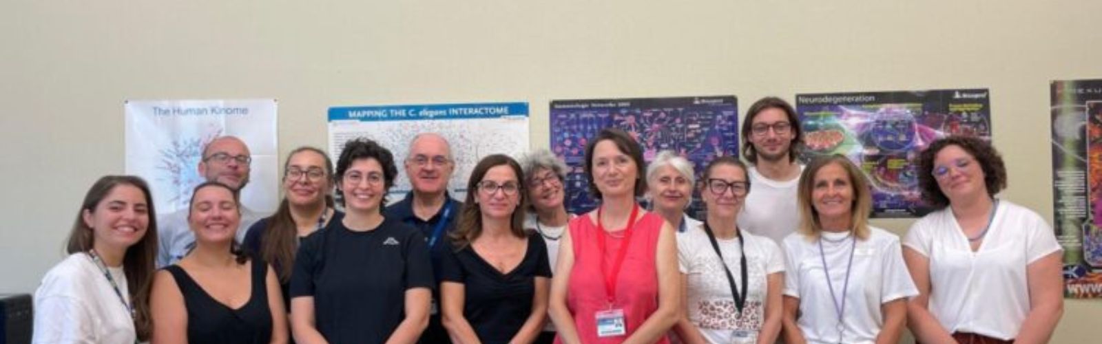 Cellule T “ribelli” nel cervello così nasce l’infiammazione neurotossica dell’Alzheimer