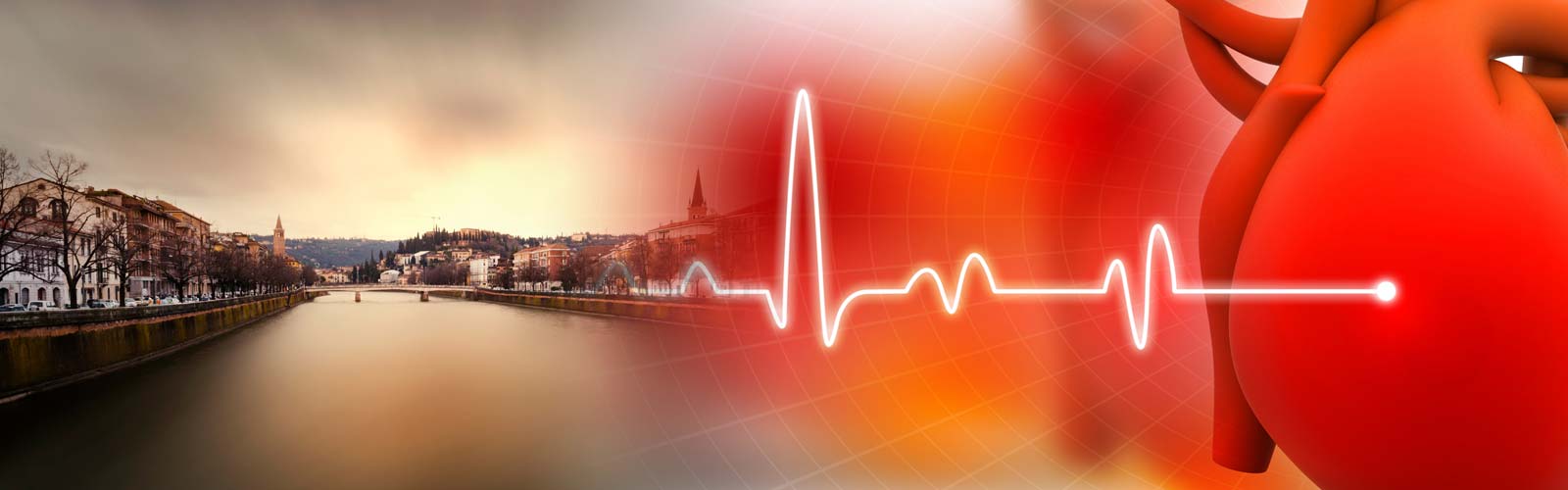 50 anni di Cardiologia a Verona